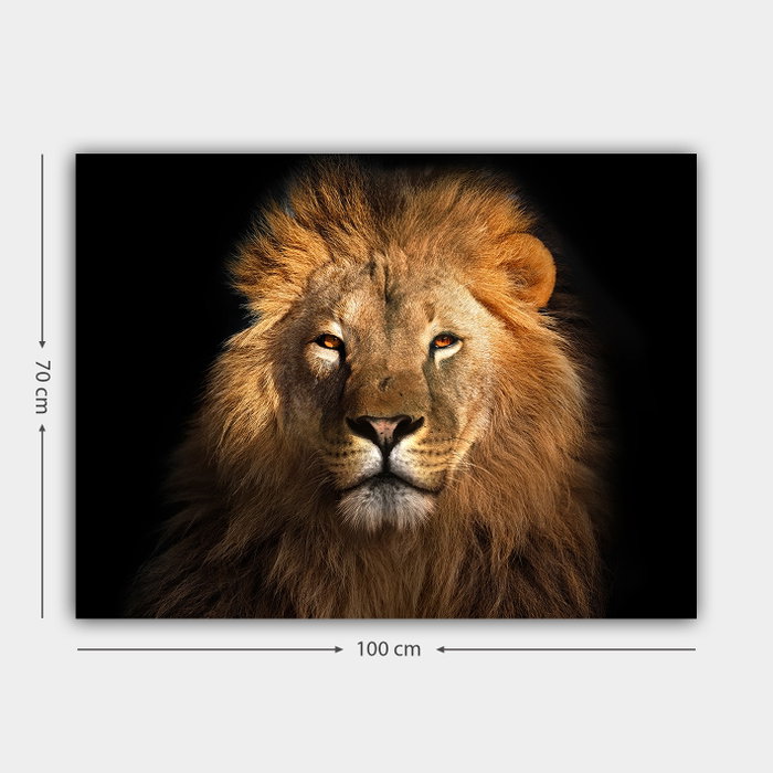 Wallity Lienzo Decorativo Multicolor 70 x 100 cm